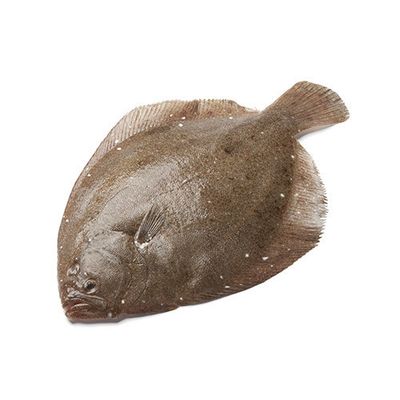Brill (Ave Size 750g) Will Feed 2