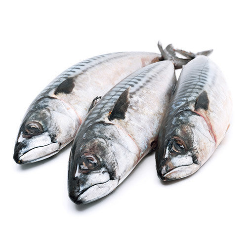 Sankeys seafood Parcel 1 - Cod, Salmon &amp; Mackerel