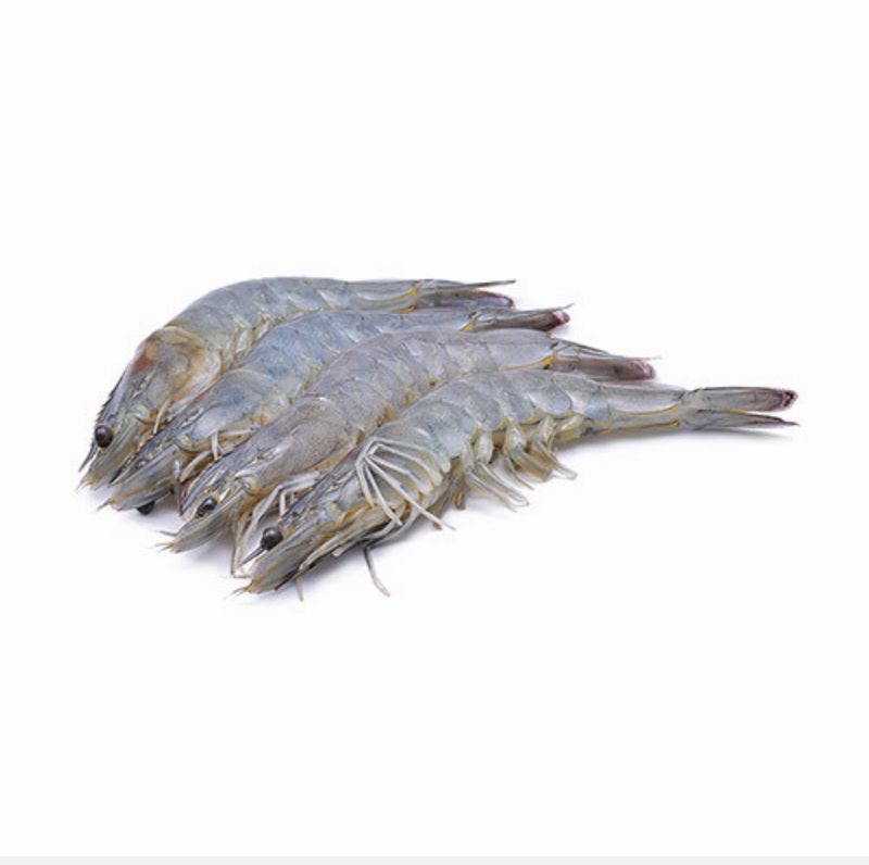 Frozen Tiger Prawns, Raw, Head &amp; Shell On (1Kg box, approx 16-20 per box)