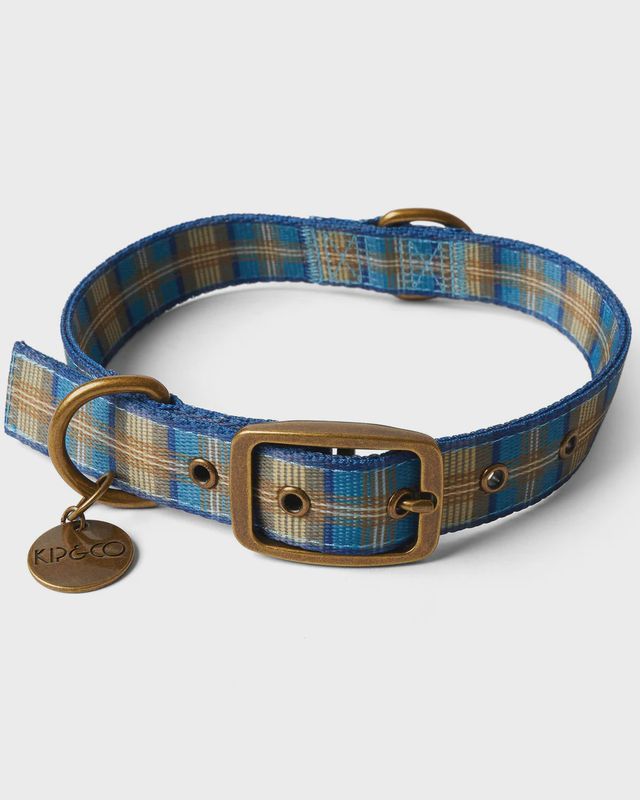 Cosy Tartan Dog Collar