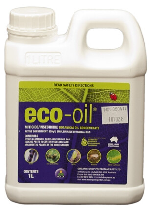 ECO OIL 1L