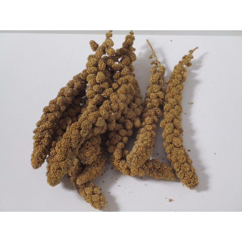 PANORAMA MILLET SPRAYS 200G