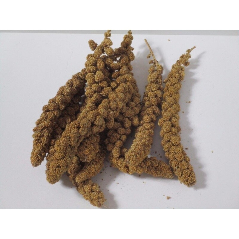 PANORAMA MILLET SPRAYS 1KG