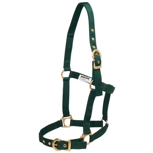RANCHER HALTER W/BRASS BUCKLES PURPLE