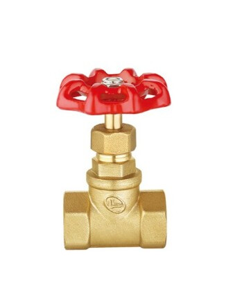 2&quot; GATE VALVE