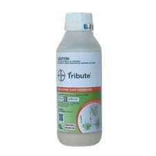 TRIBUTE  HERBICIDE 1 LITRE