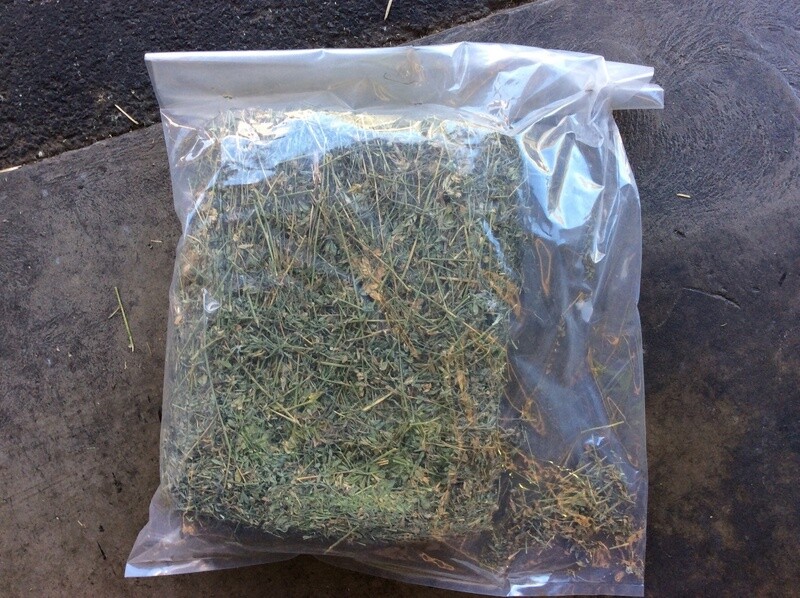LUCERNE HAY BISCUIT