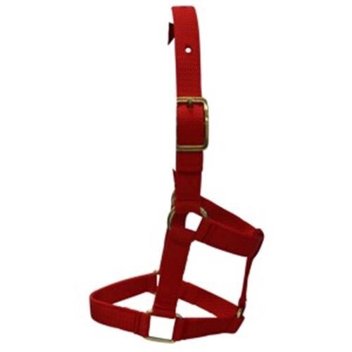 PICCOLO MINI HORSE HALTER MED RED