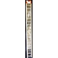 WOOD LADDER 18 STEP THICK -BTO67