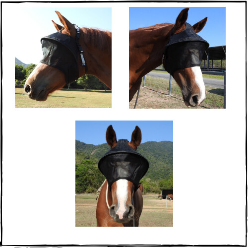 GUARDIAN EQUIVIZOR SOLAR VEIL COB