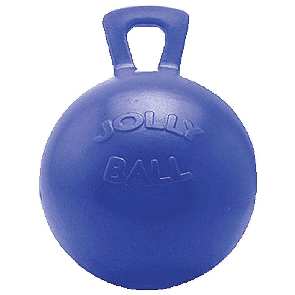 JOLLY BALL BLUEBERRY 10&quot;
