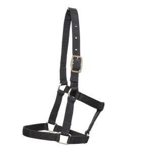 PICCOLO MINI HORSE HALTER MED BLACK