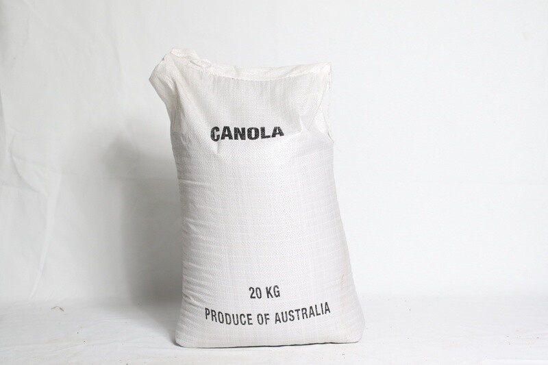 CANOLA SEED 20KG