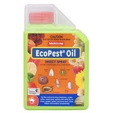 ECOPEST OIL 500ML