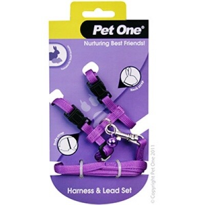 Leash &amp; Harness Rabbit Guinea Pig Ferret Purple
