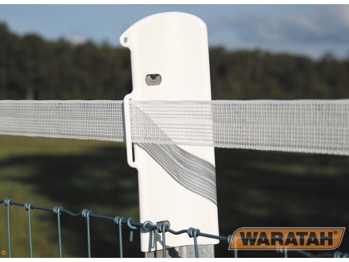 ***MAXY*** WARATAH MAXY STAR POST CAPS