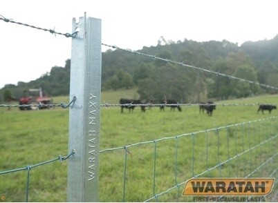 ***MAXY*** WARATAH JIO 180CM MAXY STARPOST GAL SINGLE