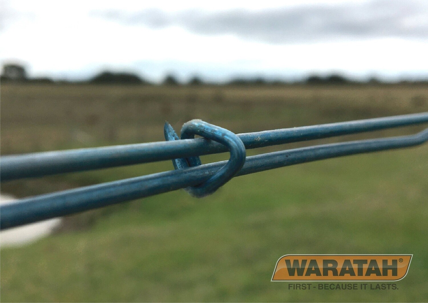 WARATAH RING FASTENER CLIPS LONGLIFE BLUE