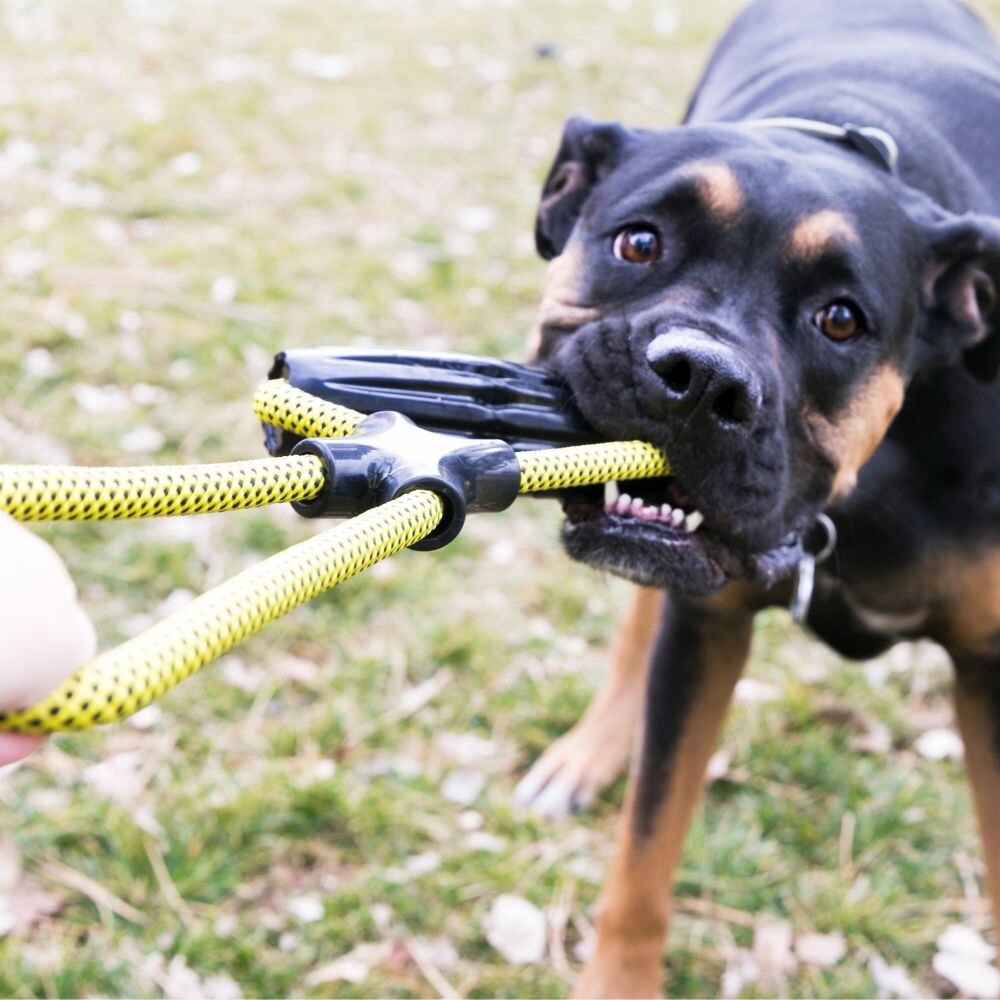 KONG JAXX INFINITY TUG LARGE
