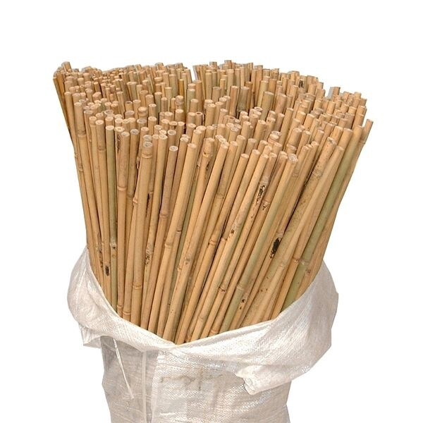 BAMBOO CANE 90CM X 8/10MM