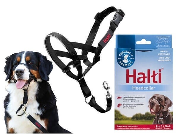 HALTI HEADCOLLAR DOG SIZE 2