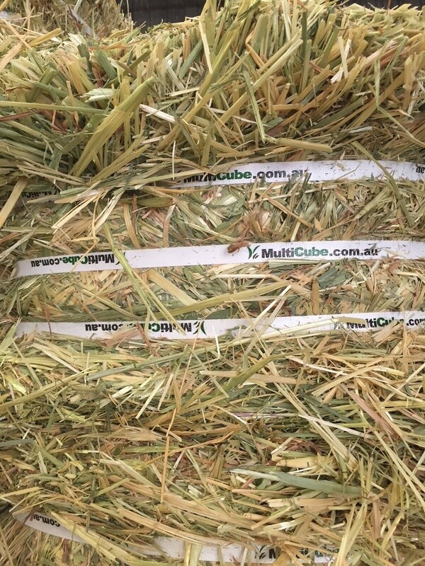 OATEN HAY COMPRESSED