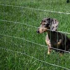 DOG MESH 1.2M  x 2MM X 30M