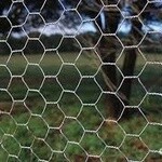 BIRD NETTING 180/1.3/0.56 X 50M
