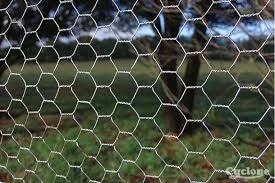 ANIMAL NETTING 90/3/0.9 X 10M