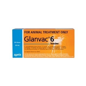 ZOETIS GLANVAC 6 100ML