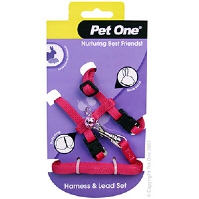Leash &amp; Harness Rabbit Guinea Pig Ferret Pink