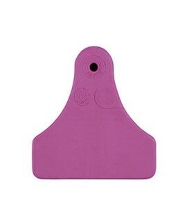ALLFLEX EARTAG MEDIUM MALE PURPLE EACH
