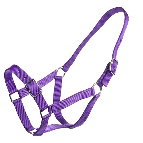 RANCHER STABLE HALTER PONY PURPLE