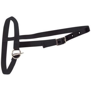 HALTER NYLON, CALF TETHERING 203 459