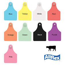 ALLFLEX EARTAG LARGE MALE YELLOW EACH