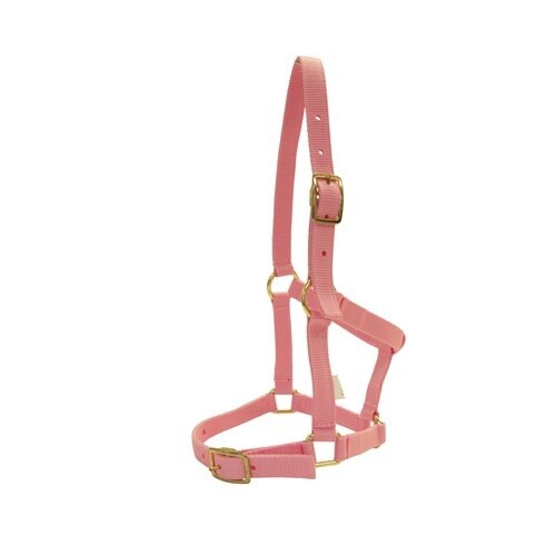 RANCHER NYLON FOAL HALTER W/BUCKLES PINK RAN3750 PK