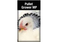 LAUCKE PULLET GROWER MP 20KG