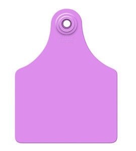 ALLFLEX EARTAG LARGE MALE PURPLE EACH