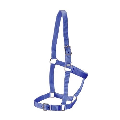 RANCHER STABLE HALTER PONY BLUE