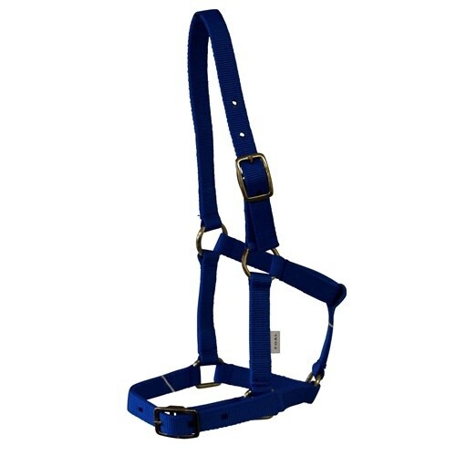 RANCHER NYLON FOAL HALTER W/BUCKLES BLUE RAN3750BL