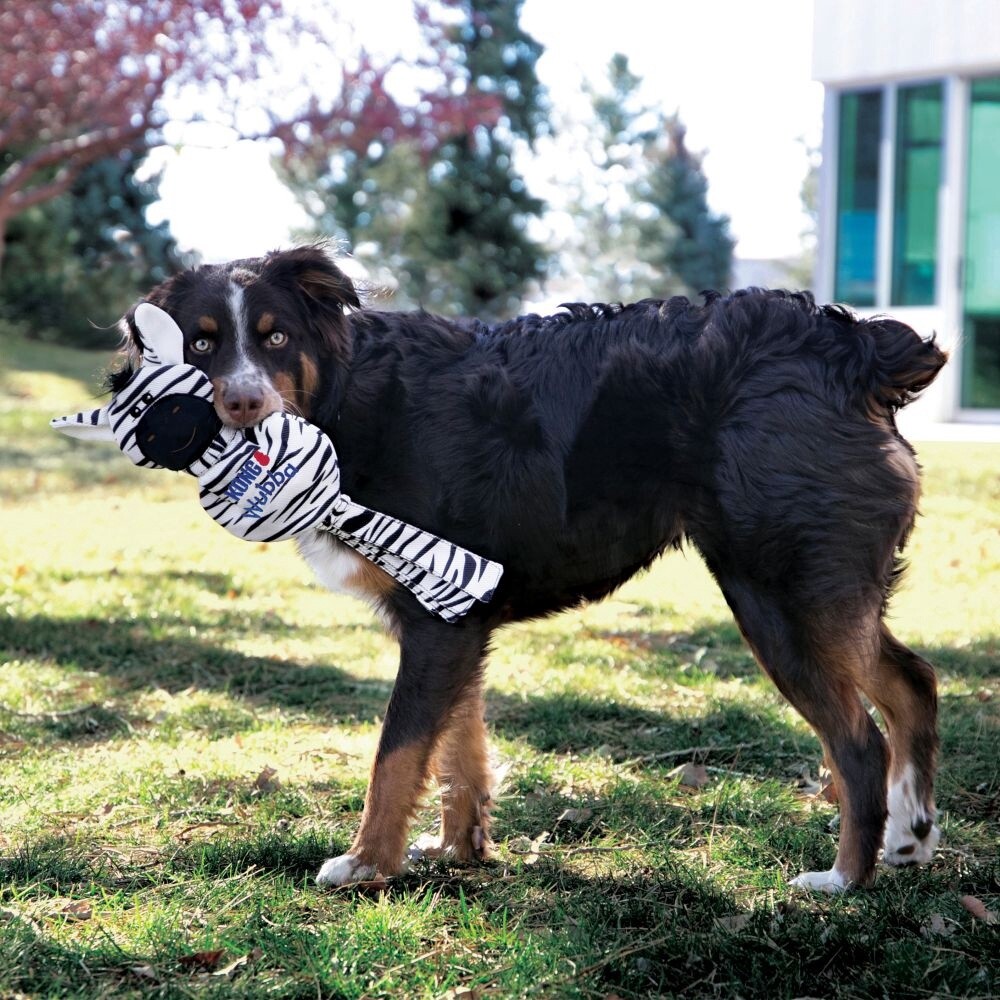 KONG WUBBA NO STUFF DOG TOY ZEBRA