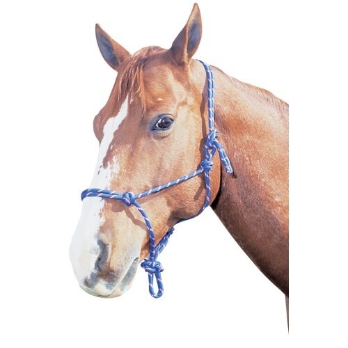 RANCHER HORSEMANSHIP HALTER COB RED RAN5300C RD