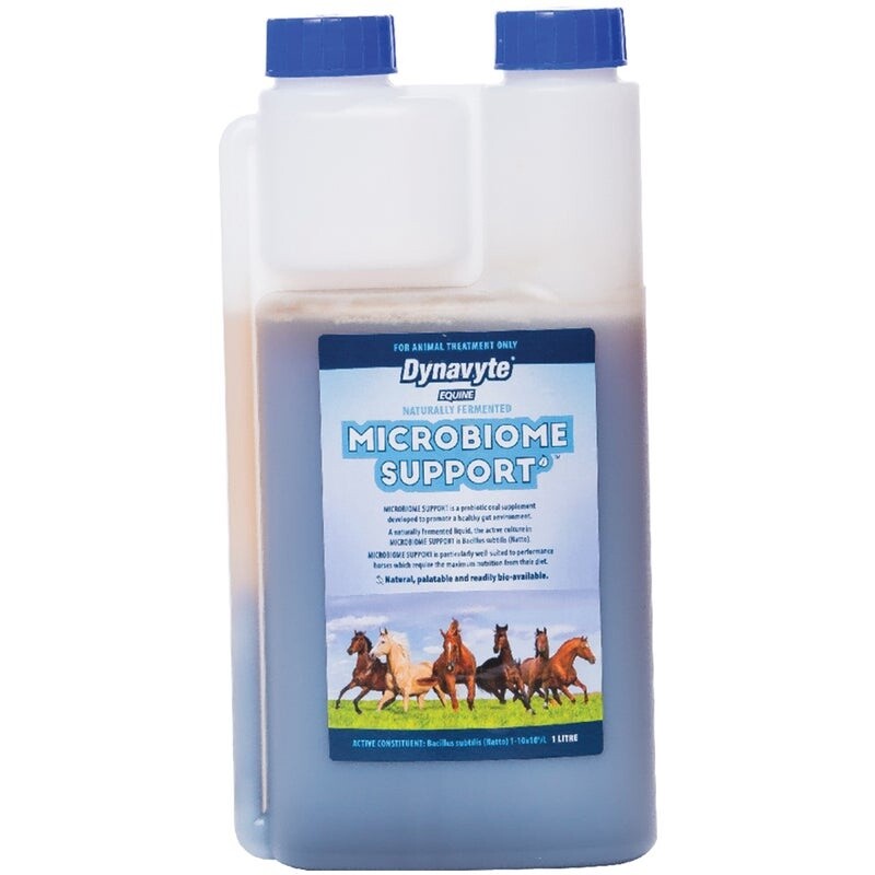 DYNAVYTE EQUINE MICROBIOME SUPPORT 1L
