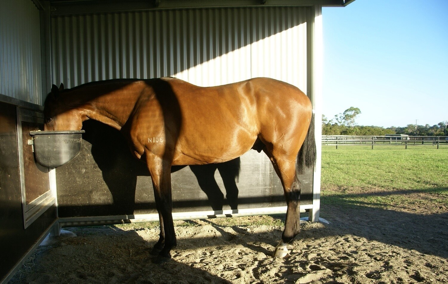 MAGNUM FLUSH BIN