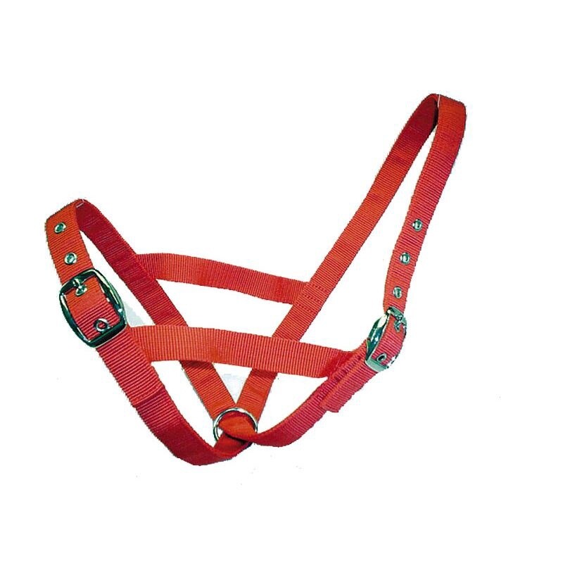 CATTLE HALTER WEBBING HEIFER - RED