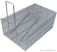 Mouse Trap spring Loaded 22.5x14.5x10cm