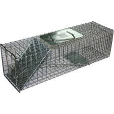 LIVE RAT TRAP 450 X 125 X 125