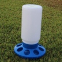 BAINBRIDGE 1KG CHICKEN FEEDER WITH HOLES - BLUE