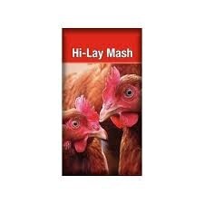 LAUCKE HI-LAY MASH 20KG