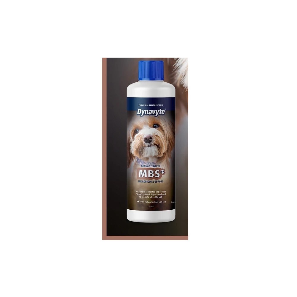 DYNAVYTE DOG MICROBIOME SUPPORT 250ML